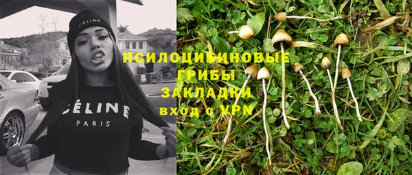 ешки Белокуриха