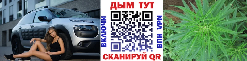 где купить   Красновишерск  Каннабис Bruce Banner 